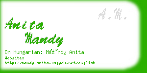 anita mandy business card